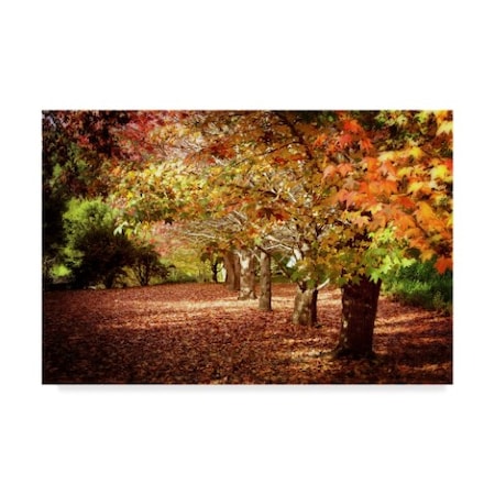 Incredi 'Autumn Walk' Canvas Art,16x24